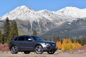 Audi SQ5 TFSI 2013 года  (NA)